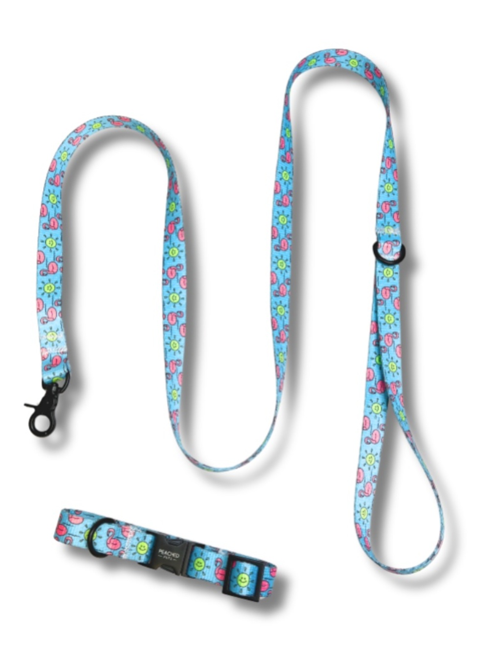 Dog Leash and Collar Set